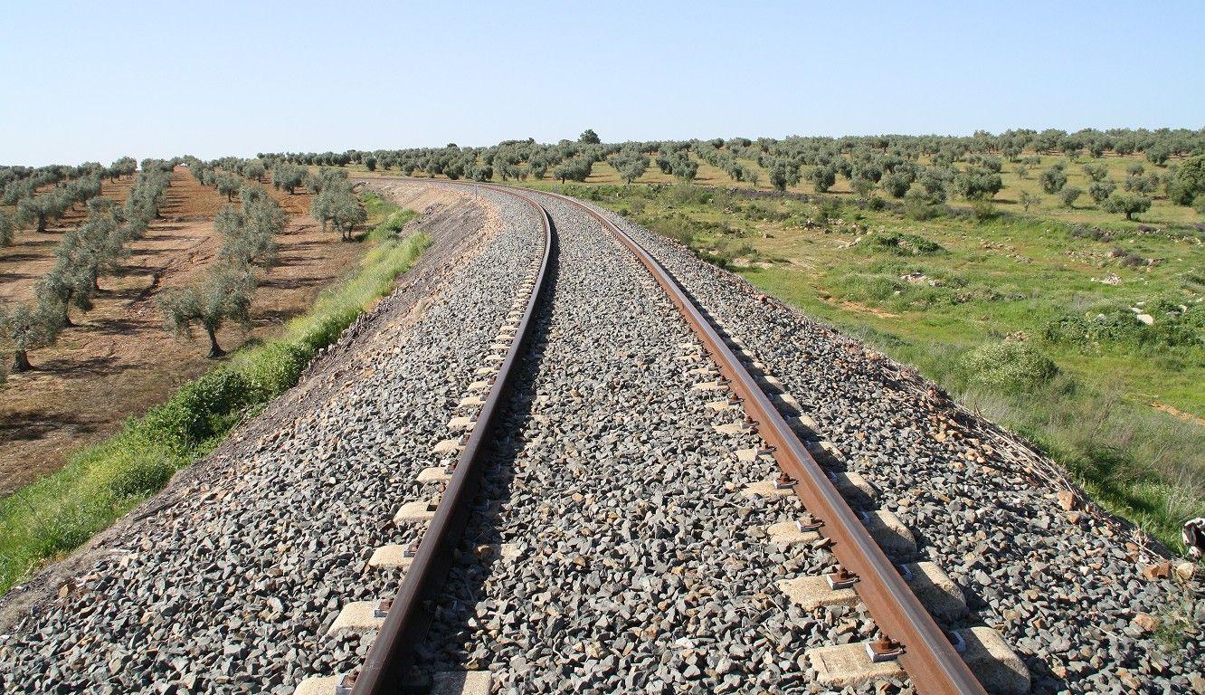 Primeiras expropriações para linha de alta velocidade Porto-Lisboa avançam em Aveiro