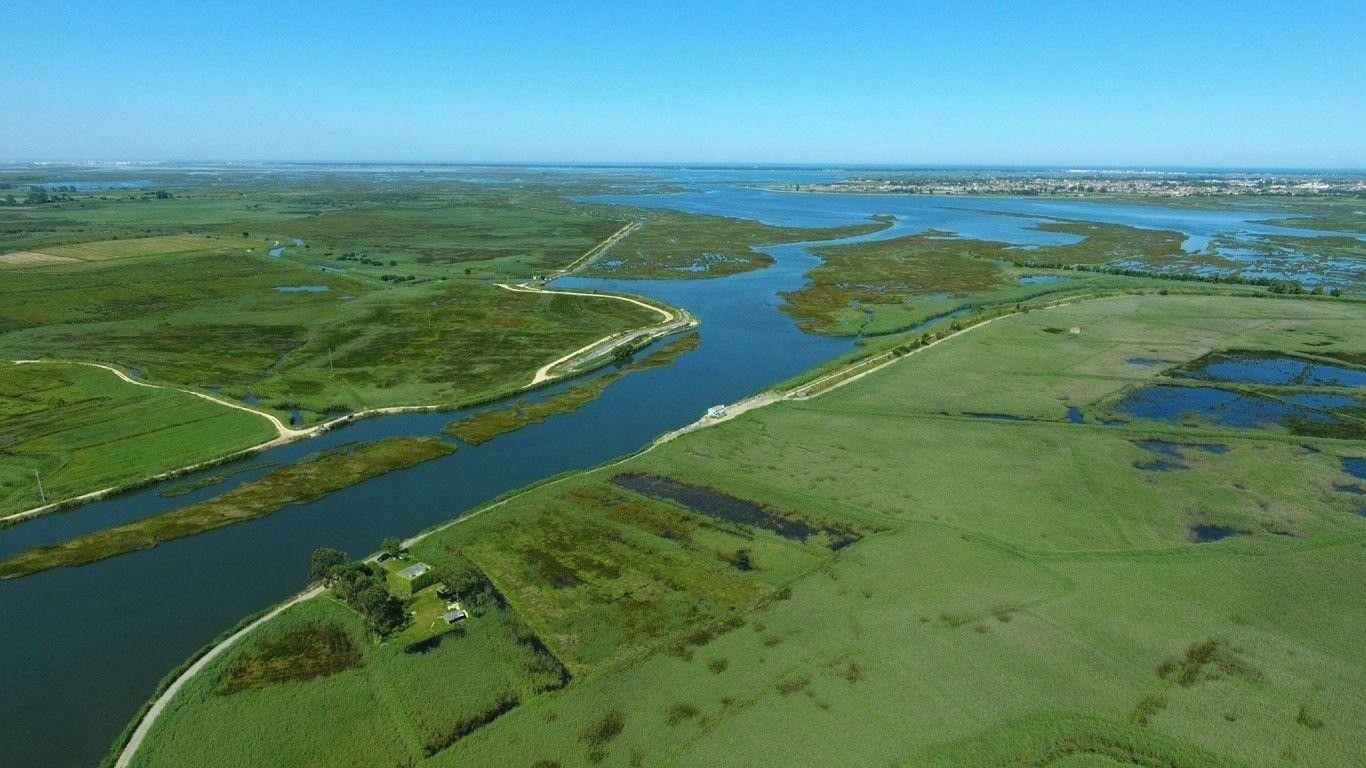 Comunidade Intermunicipal de Aveiro prepara obra de defesa do Baixo Vouga