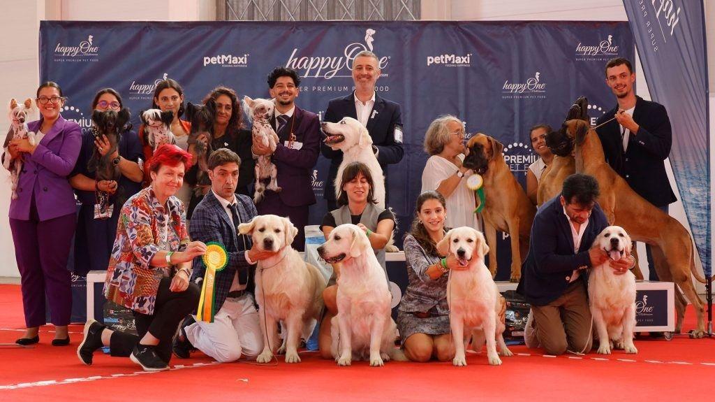 ‘Exposição Canina e Felina Internacional de Aveiro’ reúne cerca de 1.500 animais no Parque de Feiras