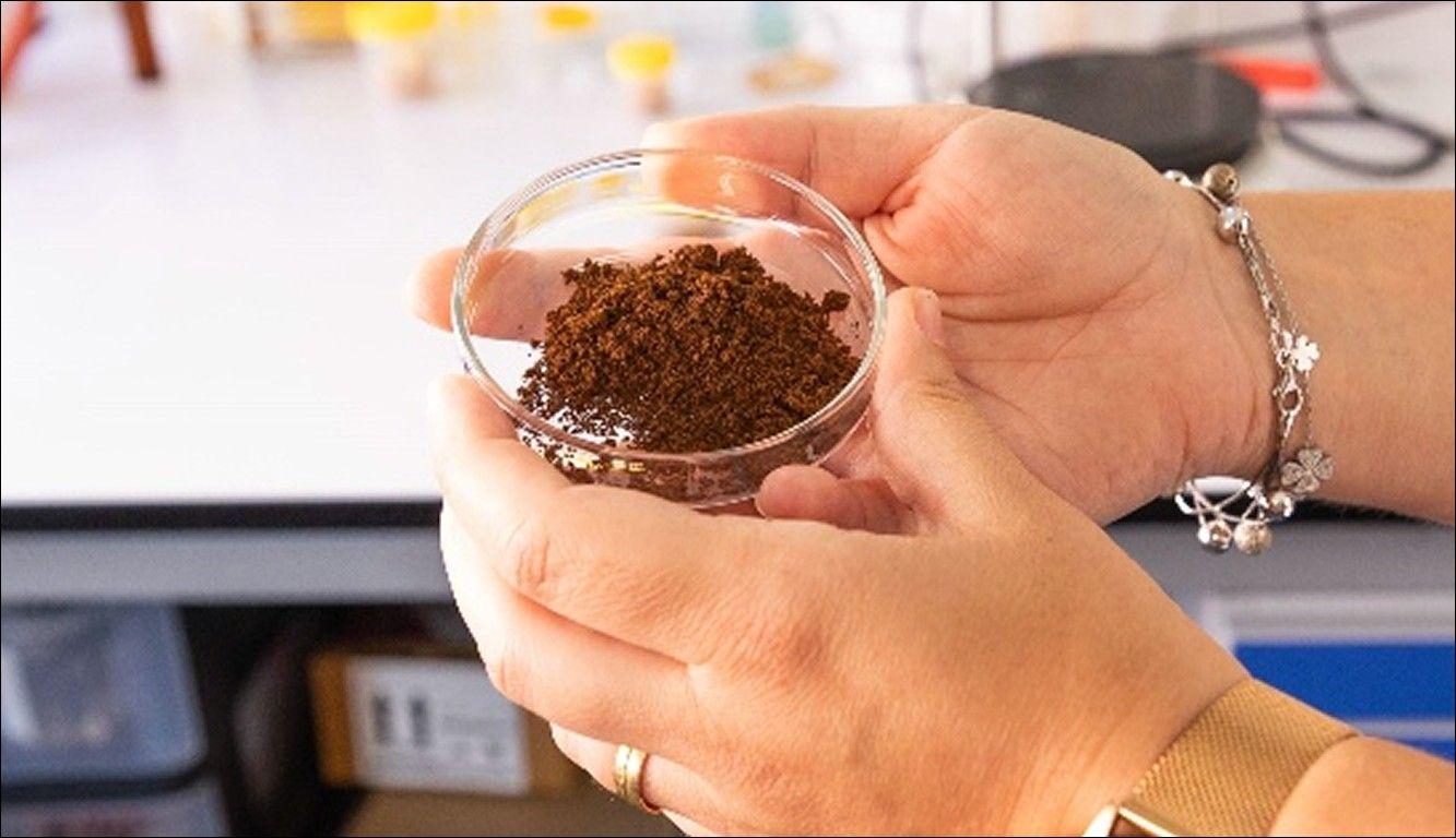 Estudo da Universidade de Aveiro abre caminho ao reaproveitamento das borras de café