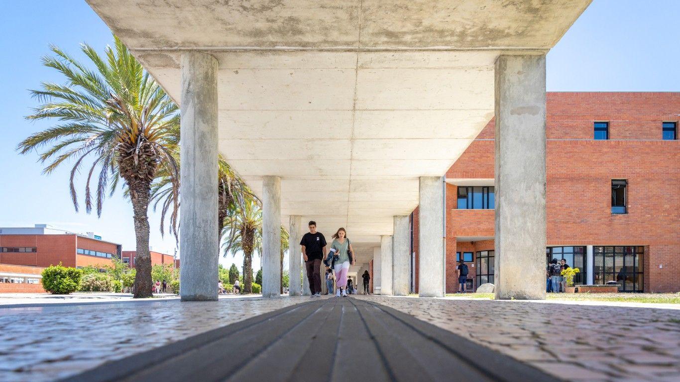 UA acolhe debate sobre “Microcredenciais e o Ensino ao Longo da Vida” esta quarta-feira
