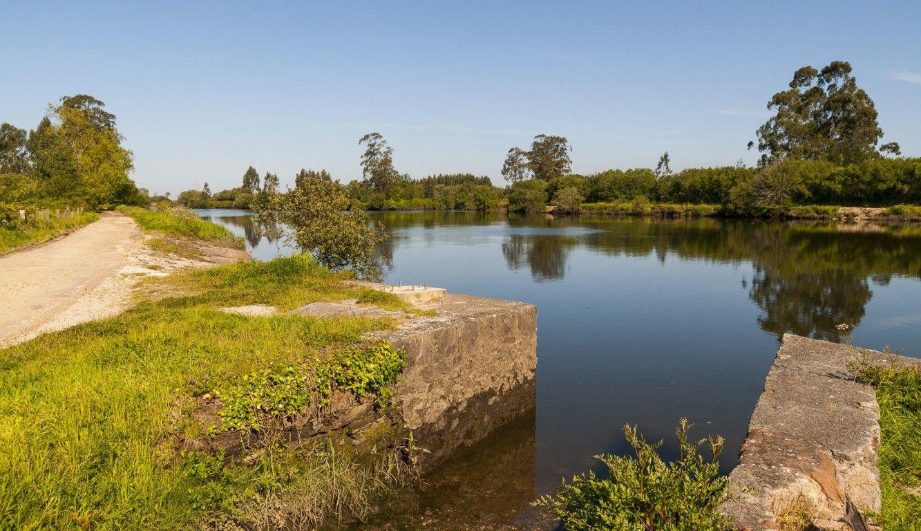 PS-Aveiro denuncia “negligência” e obras paradas em visita de proximidade à freguesia de Cacia