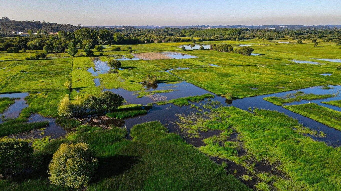 Pateira de Frossos, em Albergaria-a-Velha, com aumento consecutivo de visitantes
