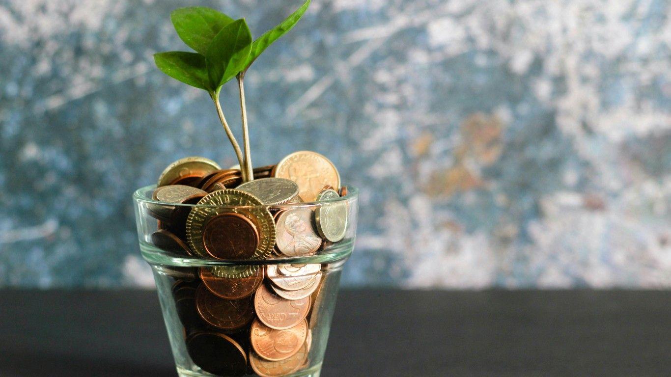 Aplicação “Pluto” vence concurso de literacia financeira em Albergaria-a-Velha