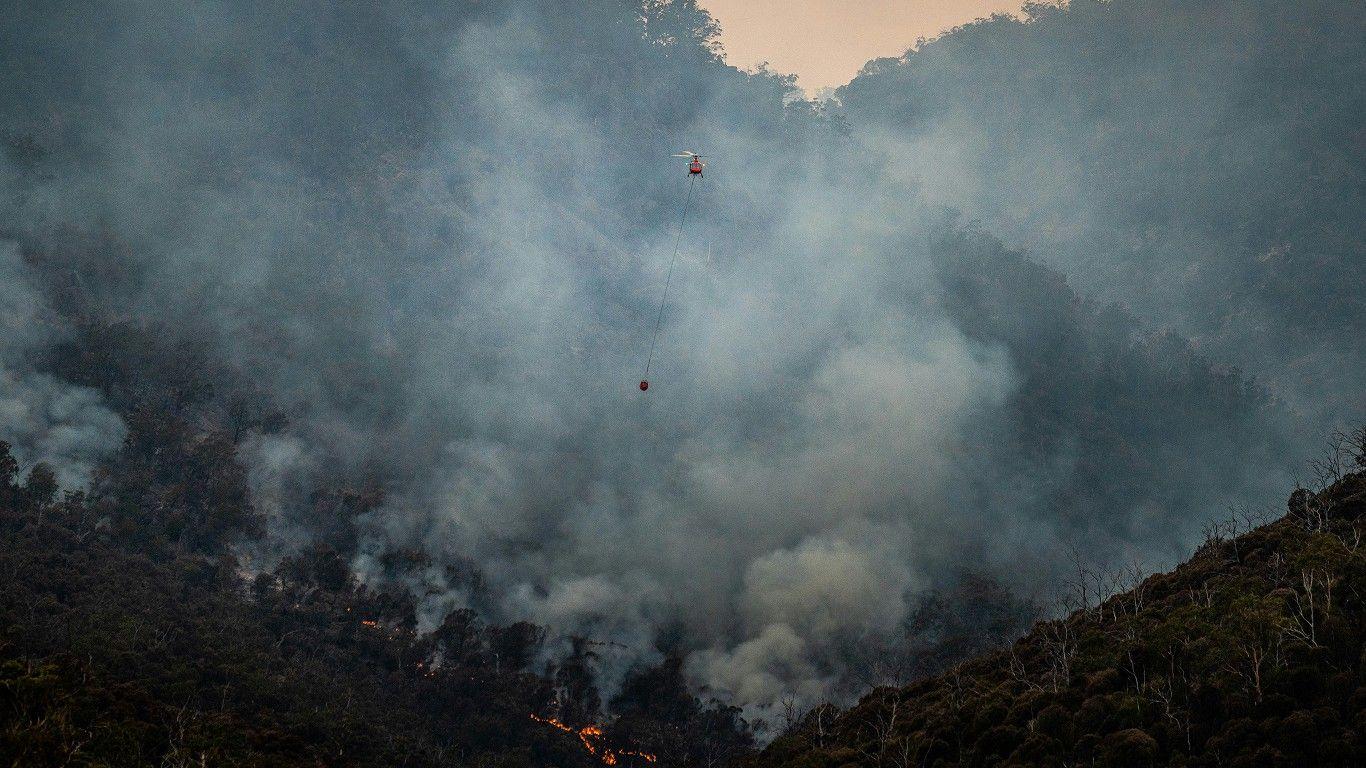 Incêndios: Detido suspeito de atear fogo em Águeda