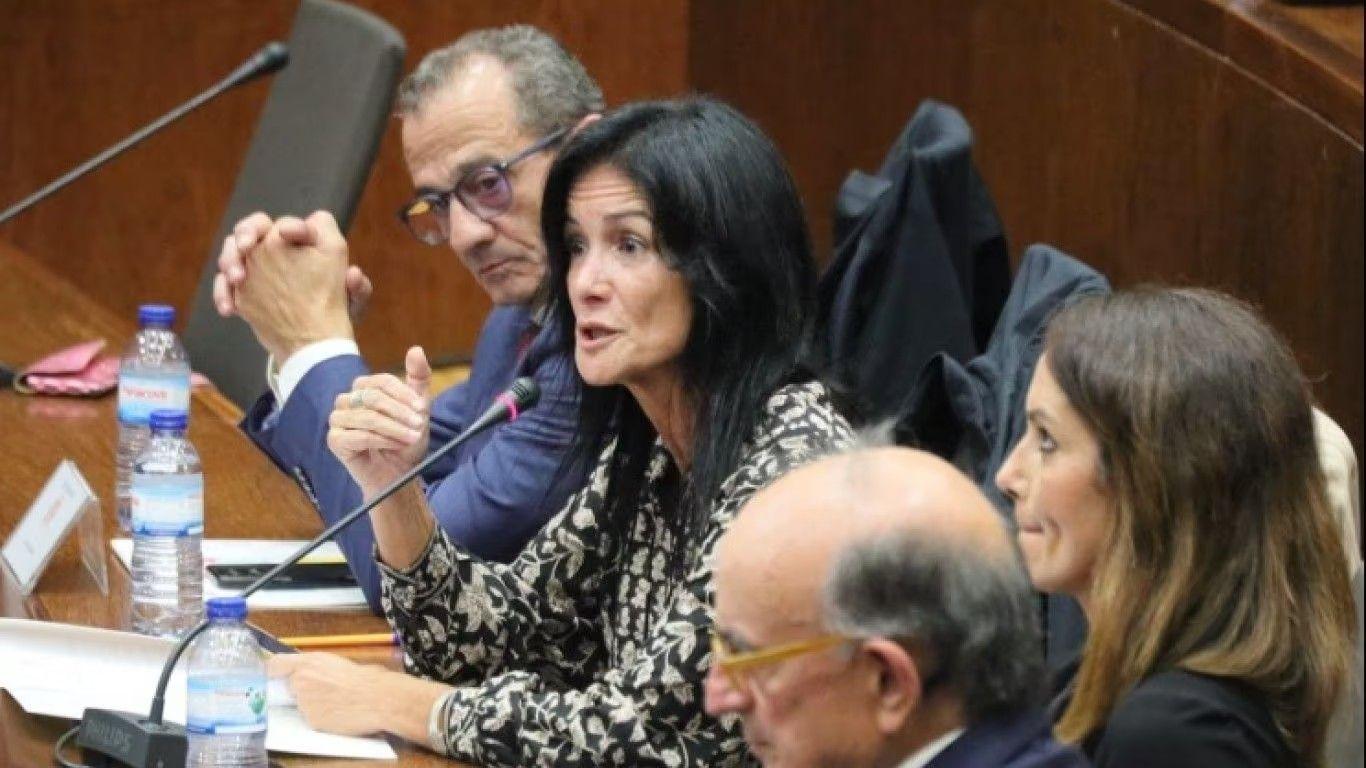 Aveiro: Líder da bancada municipal do PS suspende mandato