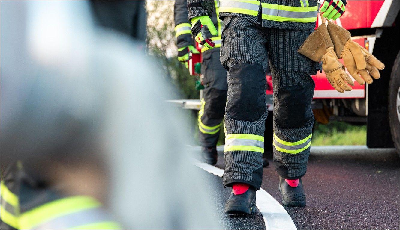 Docente da UA e Câmara de Tondela preparam plano para mitigar efeitos do fogo na serra do Caramulo