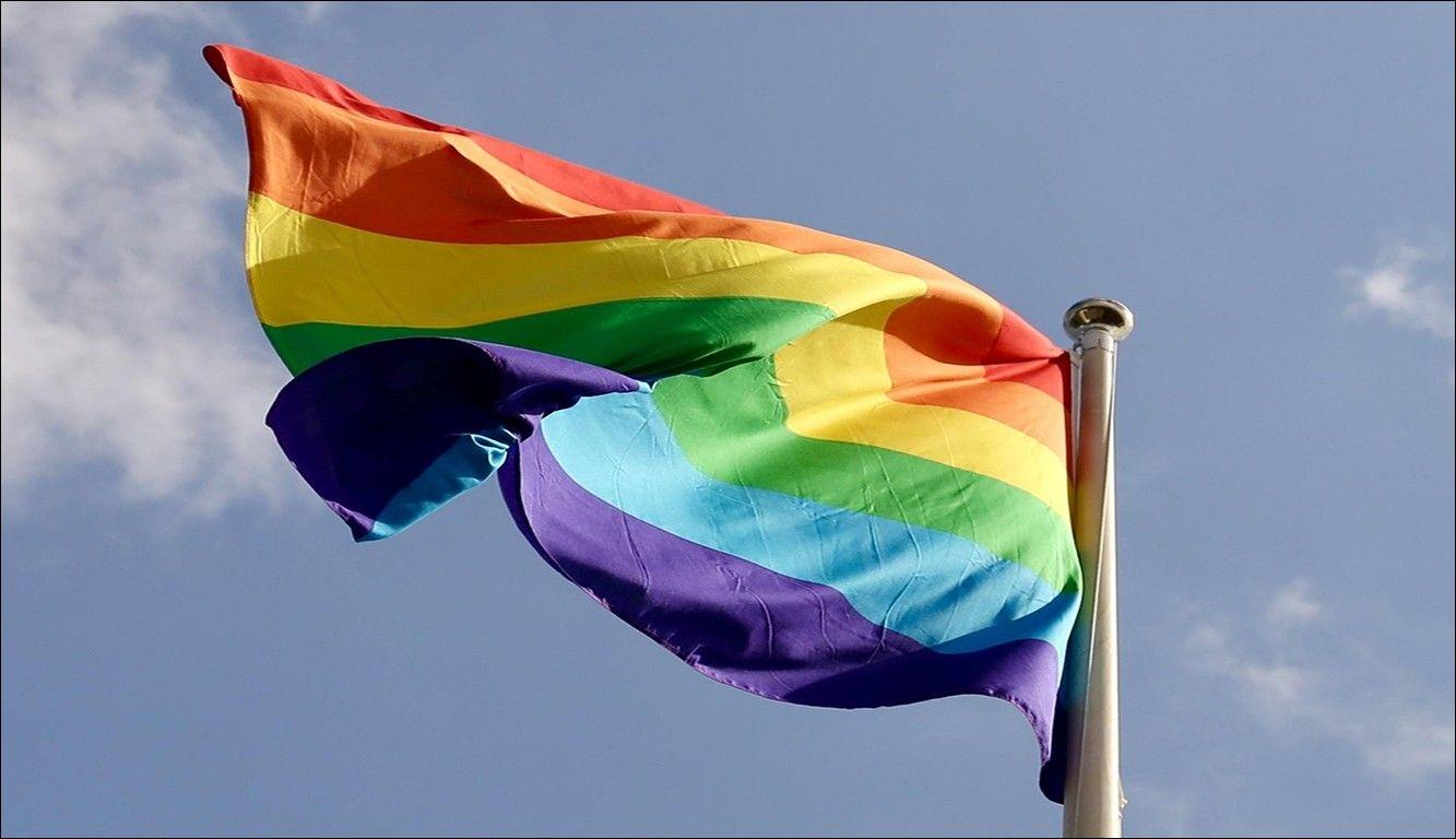 Alunos LGBTQIA+ na UA: UA “disponível para ouvir” garante que “nunca recusou iniciativas” – Parte II