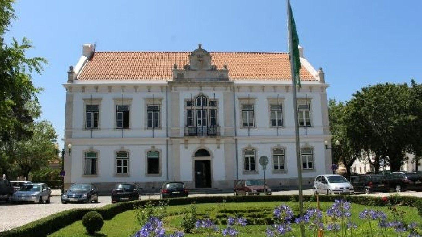 Lançado concurso de 630 mil euros para Centro de Recolha de Animais da Mealhada