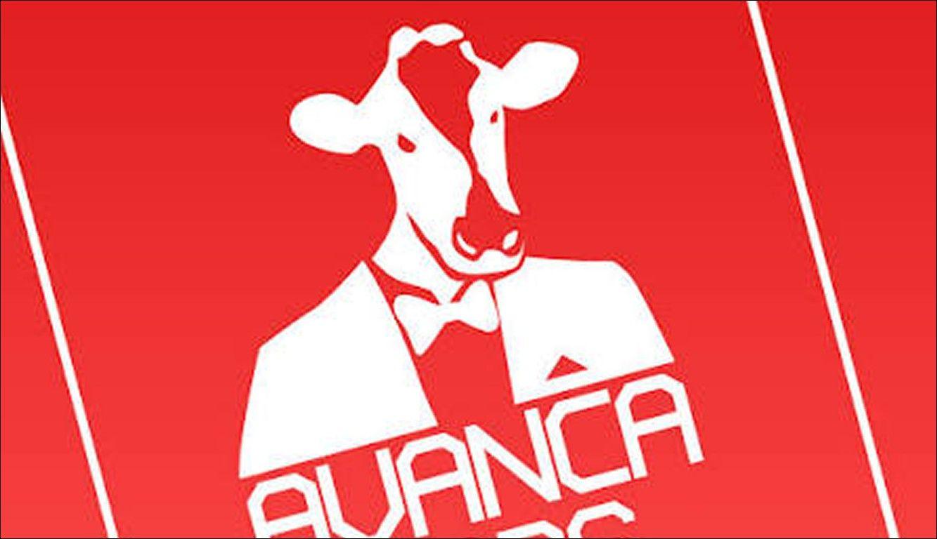 Filme poláco "Permit" foi o grande vencedor do Festival de Cinema AVANCA