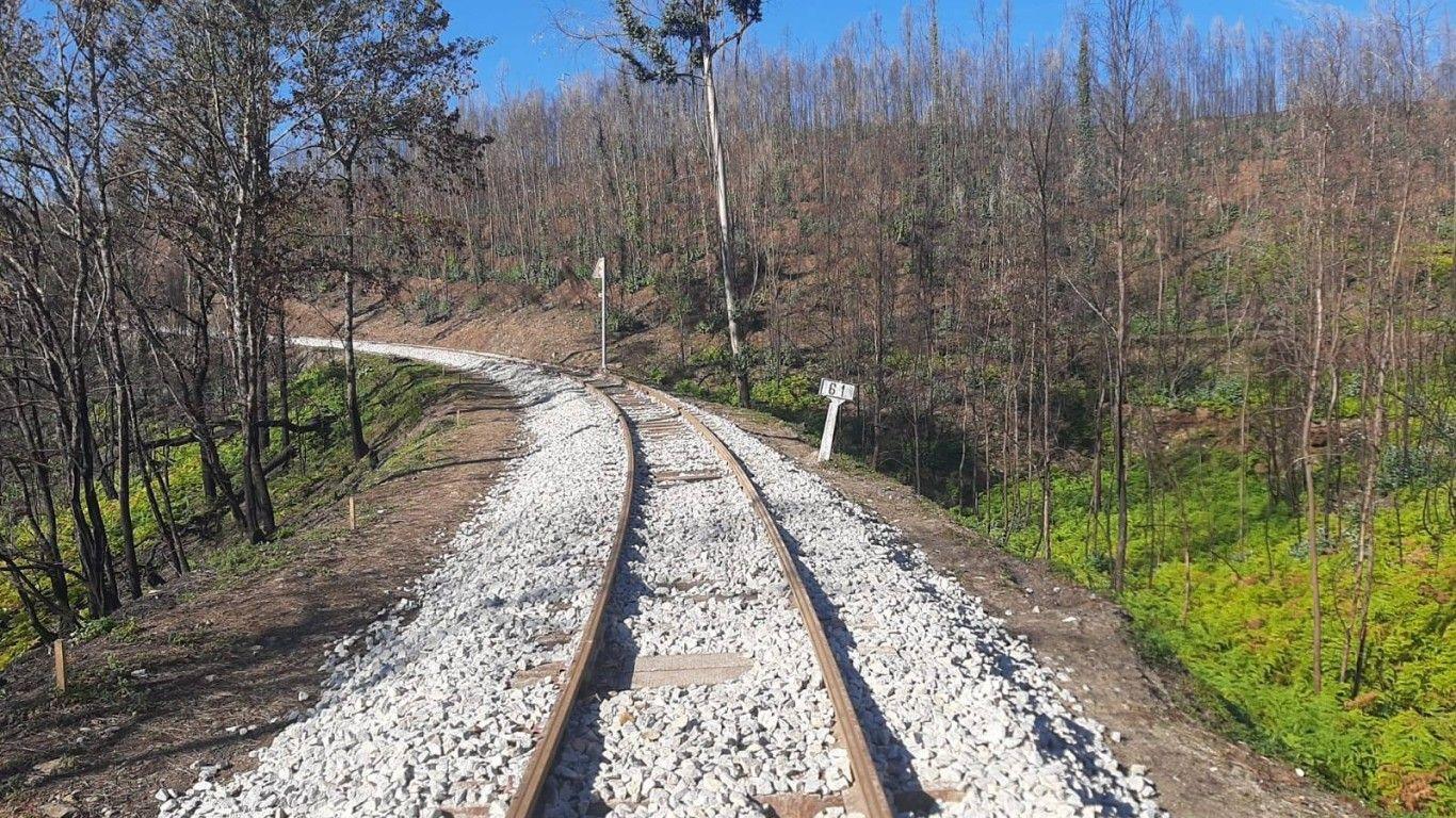 Distrital do PSD Aveiro satisfeita com resoluções do Conselho de Ministros