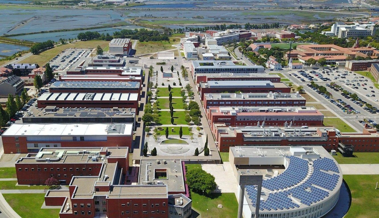 UA abre “2.427” vagas no Concurso Nacional de Acesso ao Ensino Superior, mais “39” do que em 2025