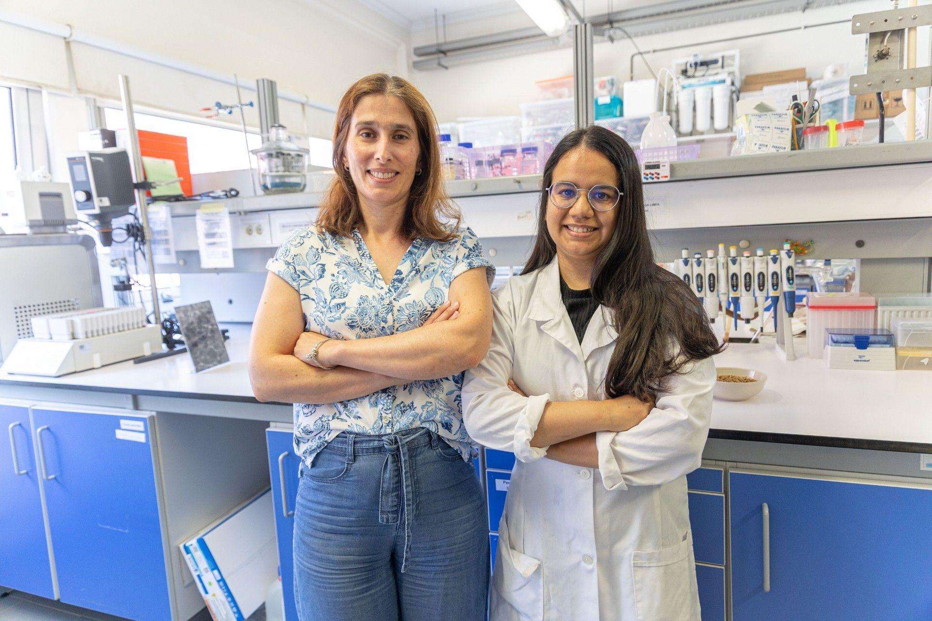 Investigação da UA utiliza resíduos de cerveja para remover antibióticos da água