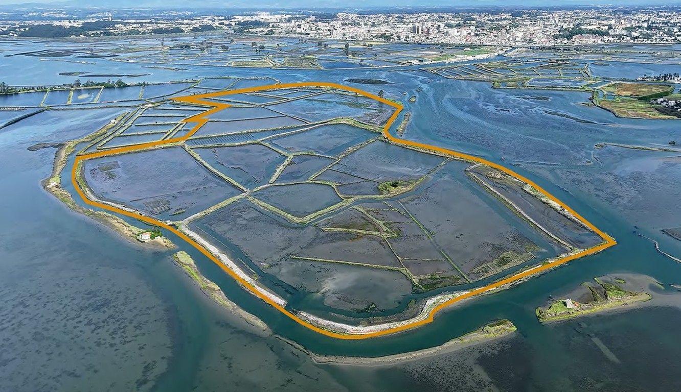 Leilão de ilha privada na ria de Aveiro terminou sem que fosse atingido valor base