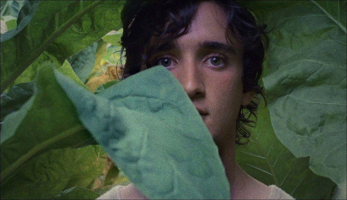 GrETUA e Universidade de Aveiro promovem cinema ao ar livre na Casa Lourenço Peixinho