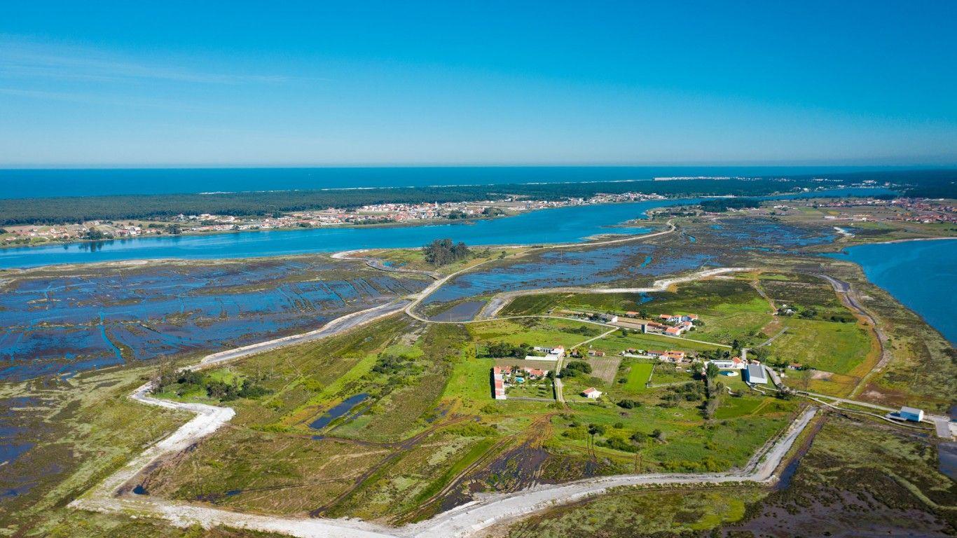 Criada nova sociedade para a proteção costeira e lagunar da região de Aveiro
