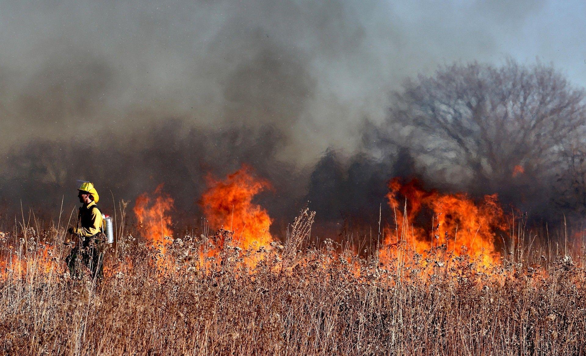 Incêndios: Em Arouca já arderam 700 hectares desde segunda-feira à noite