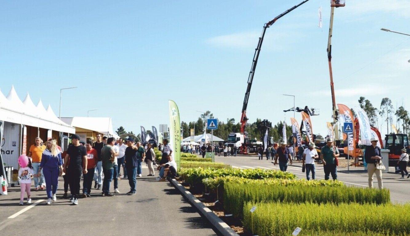 ExpoFlorestal debate tecnologias ao serviço da floresta em Albergaria-a-Velha