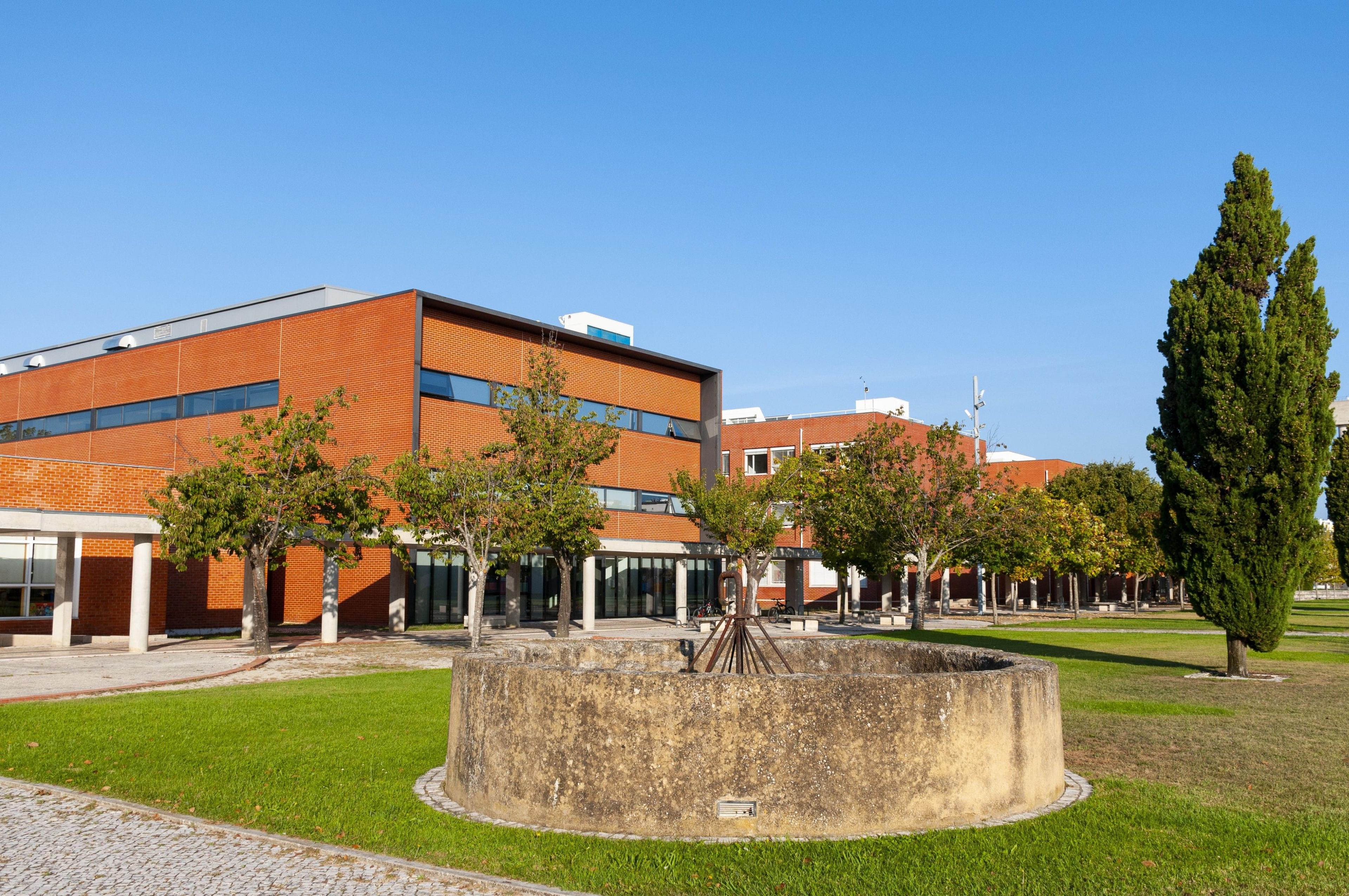 Start@UA: Candidaturas abertas para programa pré-universitário de estudantes internacionais