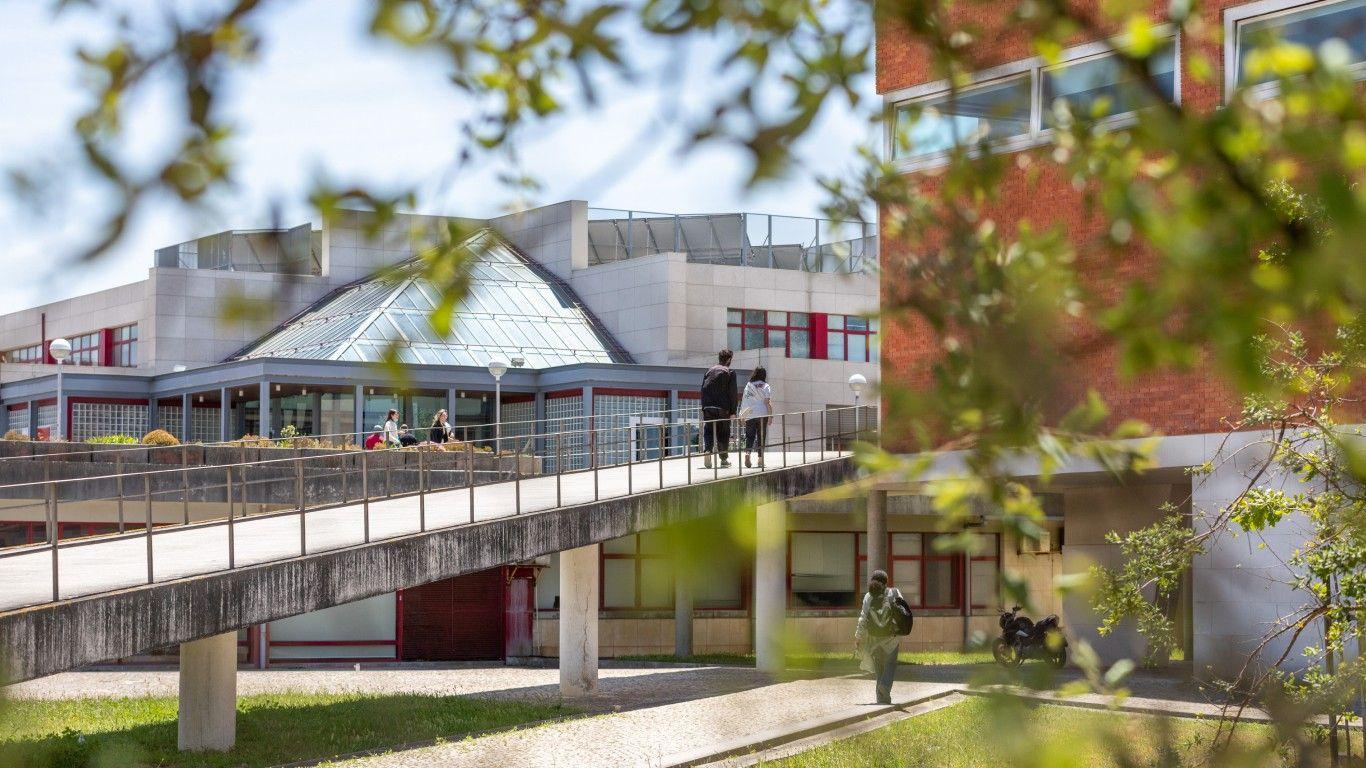 13 cursos de especialização com vagas abertas na UA