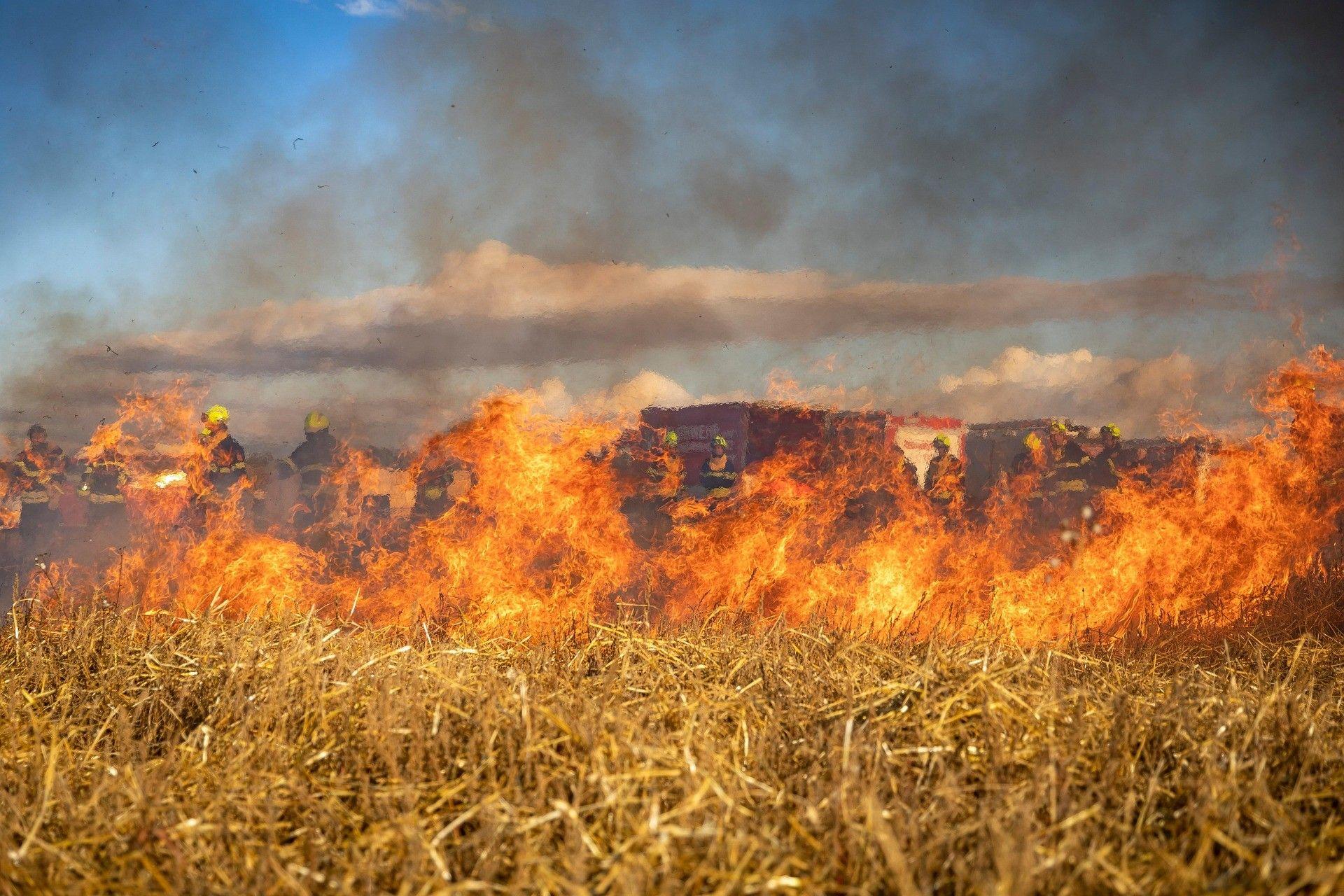 Incêndios: Meio milhão de euros para restabelecer floresta e recuperar caminhos em Albergaria