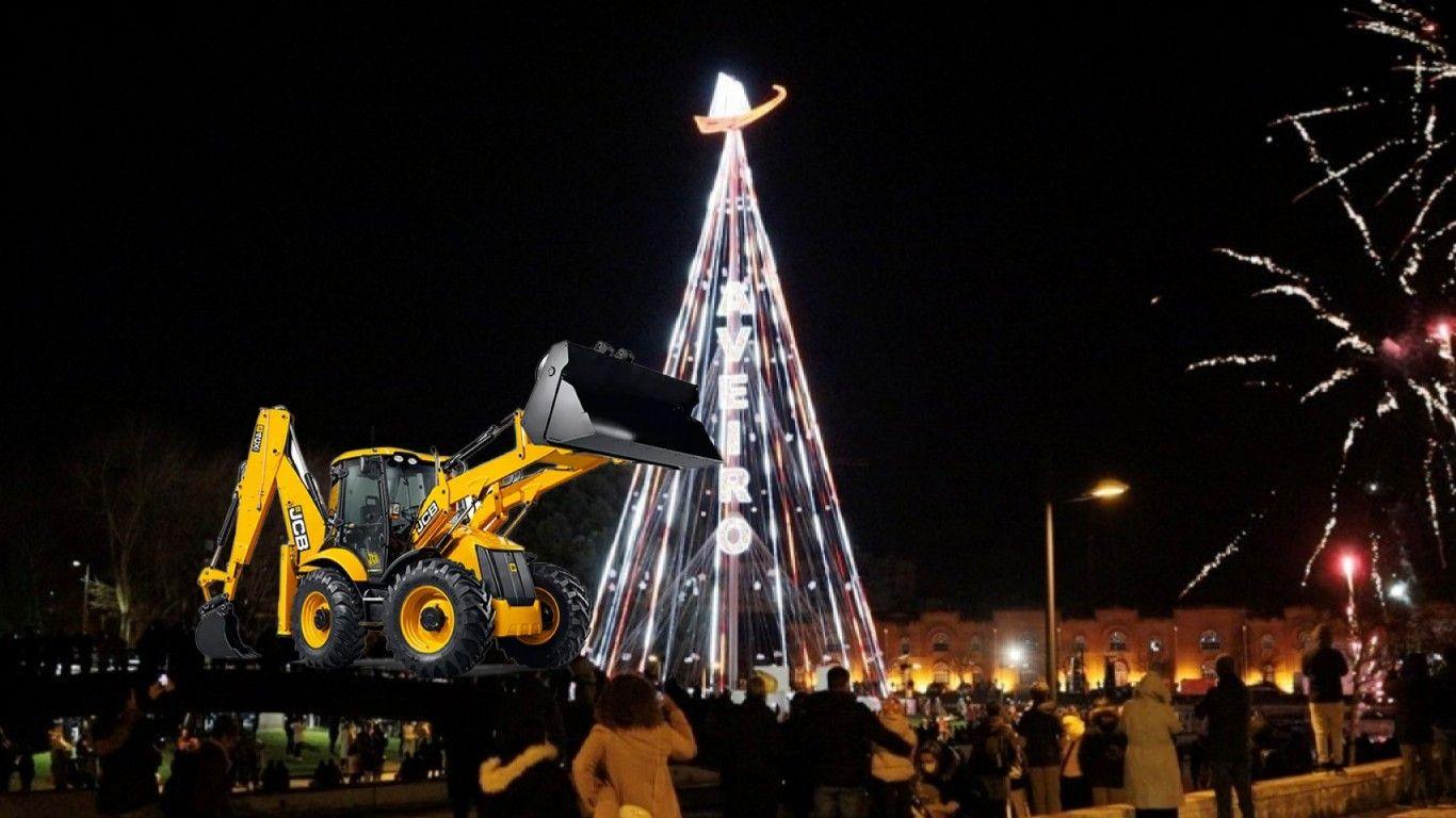 Ribau Esteves ordena abate de árvore de Natal de Aveiro