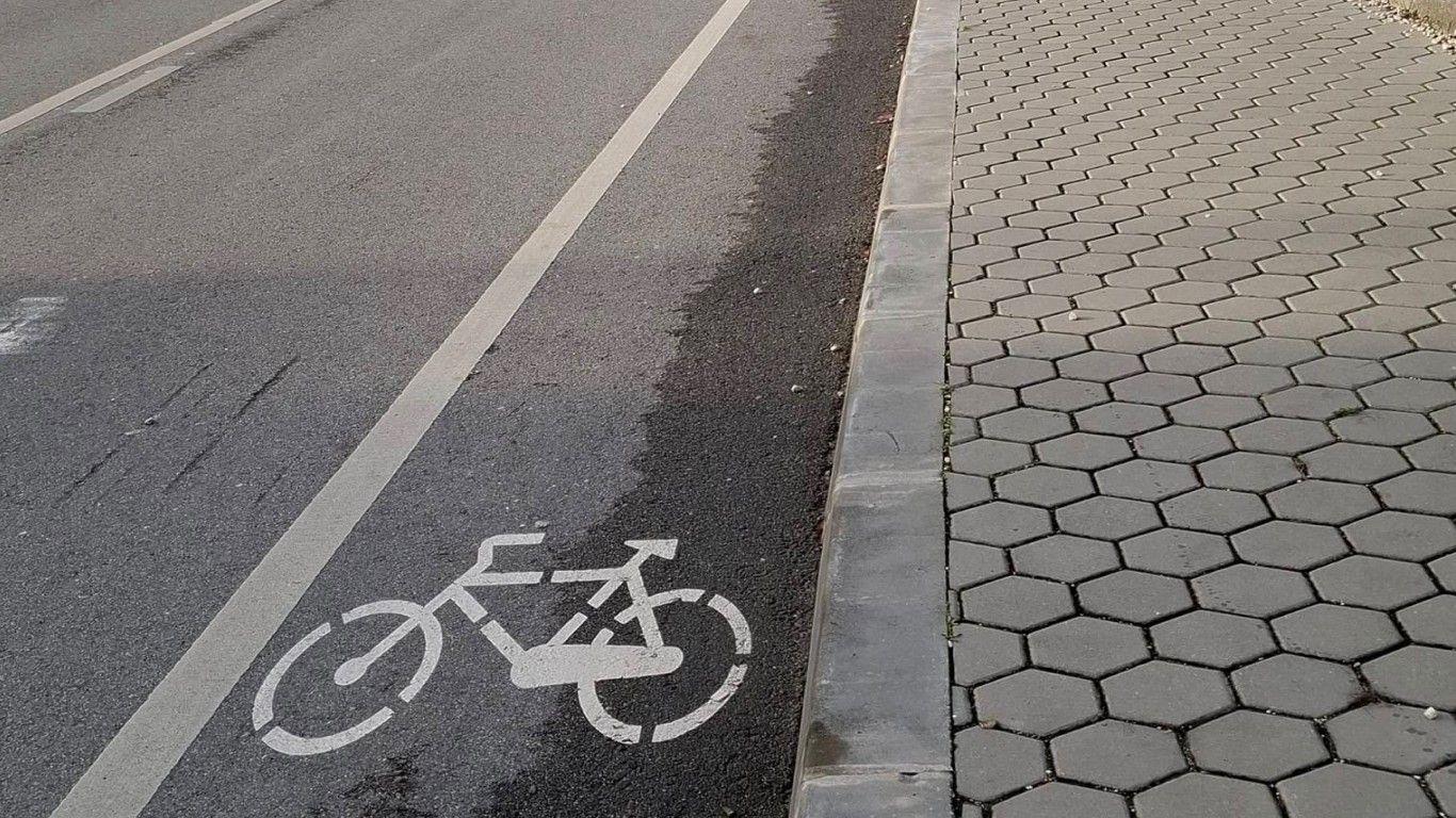 Alberto Souto de Miranda propõe para Aveiro um “Plano Municipal de Pistas Cicláveis”