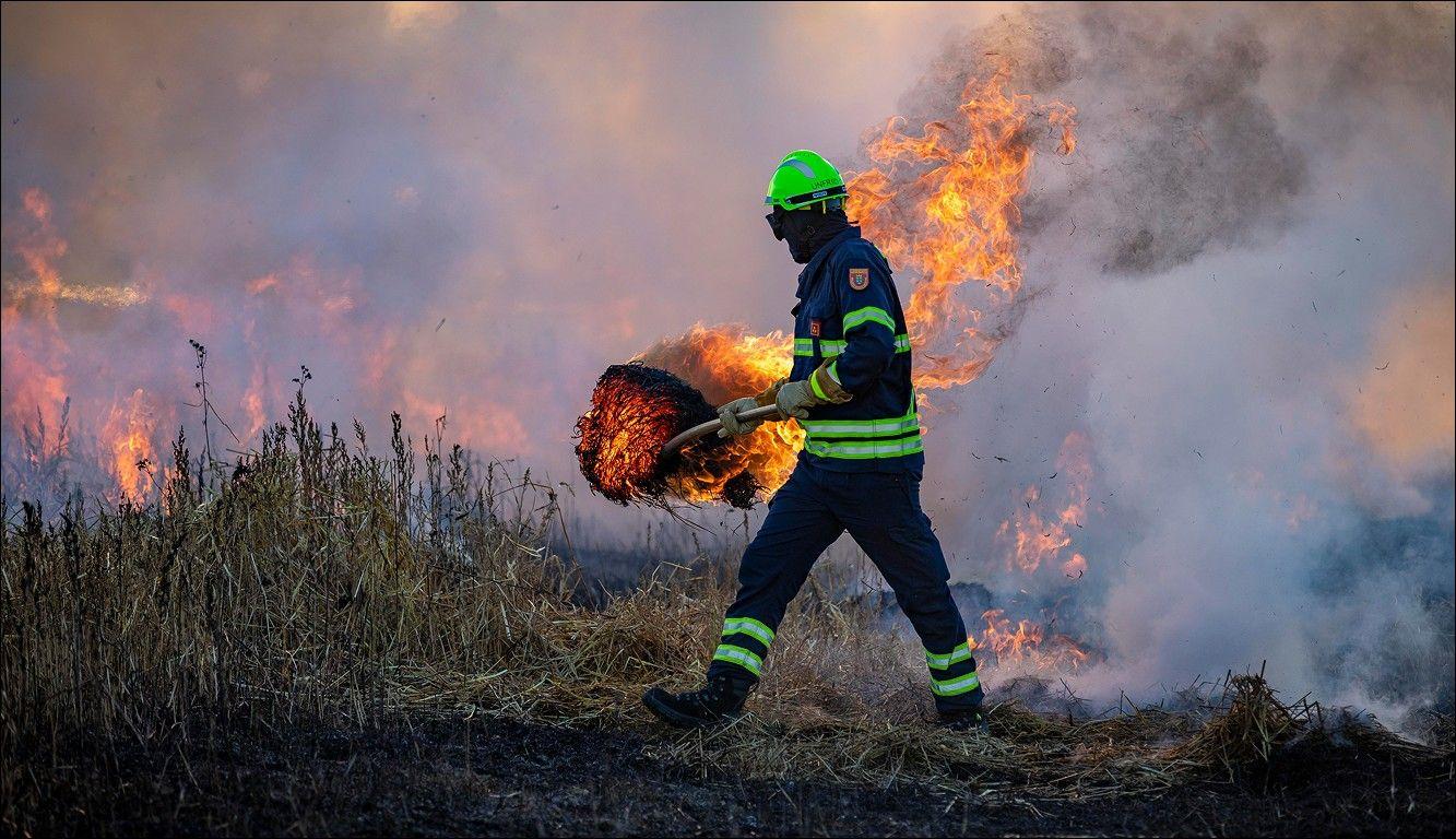 Incêndios: Número definitivo aponta para 1.454 hectares de área ardida em Arouca