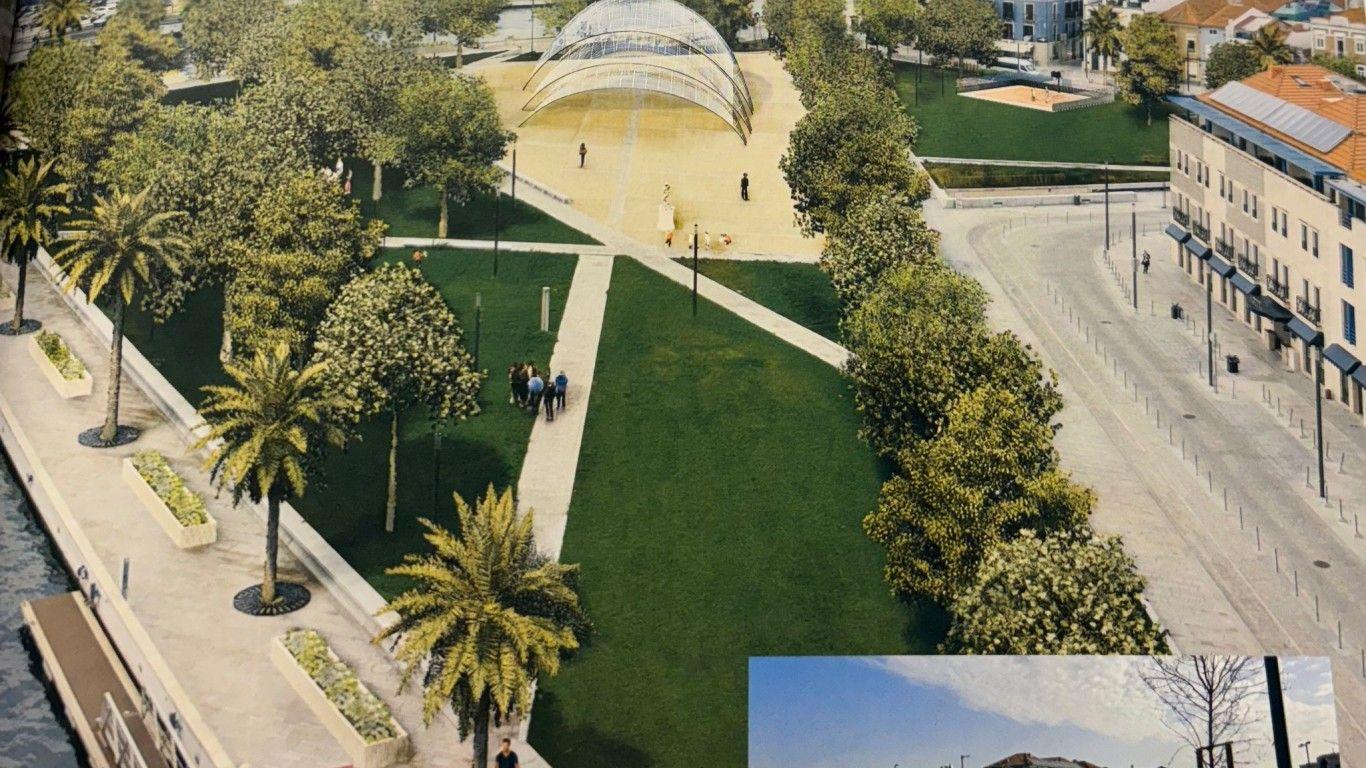 Autárquicas 2025: Alberto Souto de Miranda propõe “Programa Municipal de Rearborização”