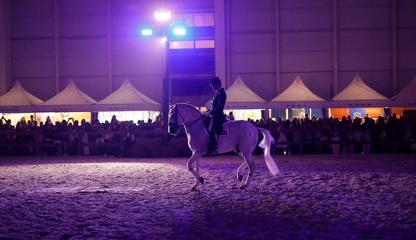 Agrovouga regista mais de 33 mil entradas, um aumento de 5,5% face ao ano passado