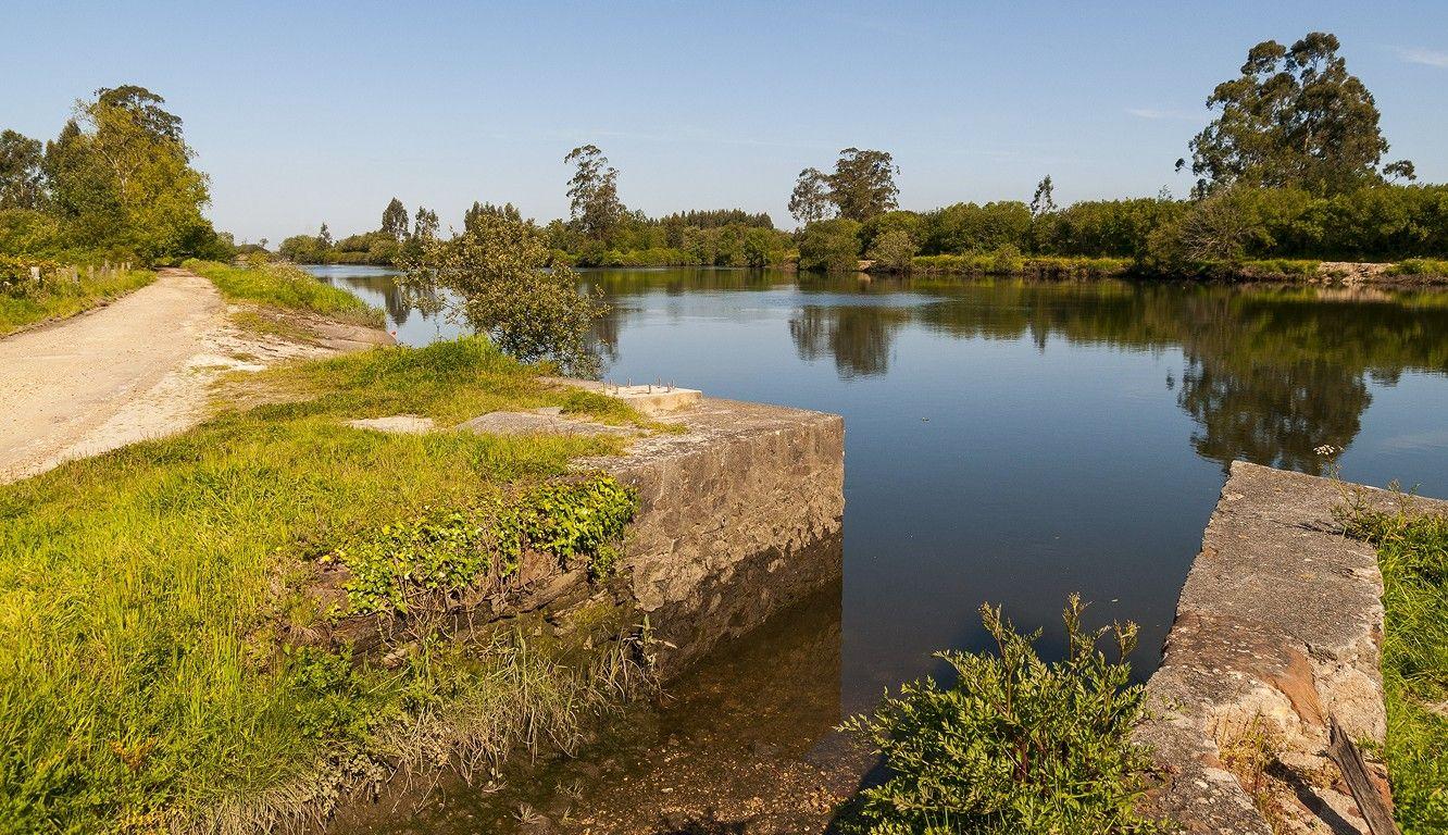 Obras no rio Novo do Príncipe em Aveiro obrigam clube de remo a mudar local de treinos
