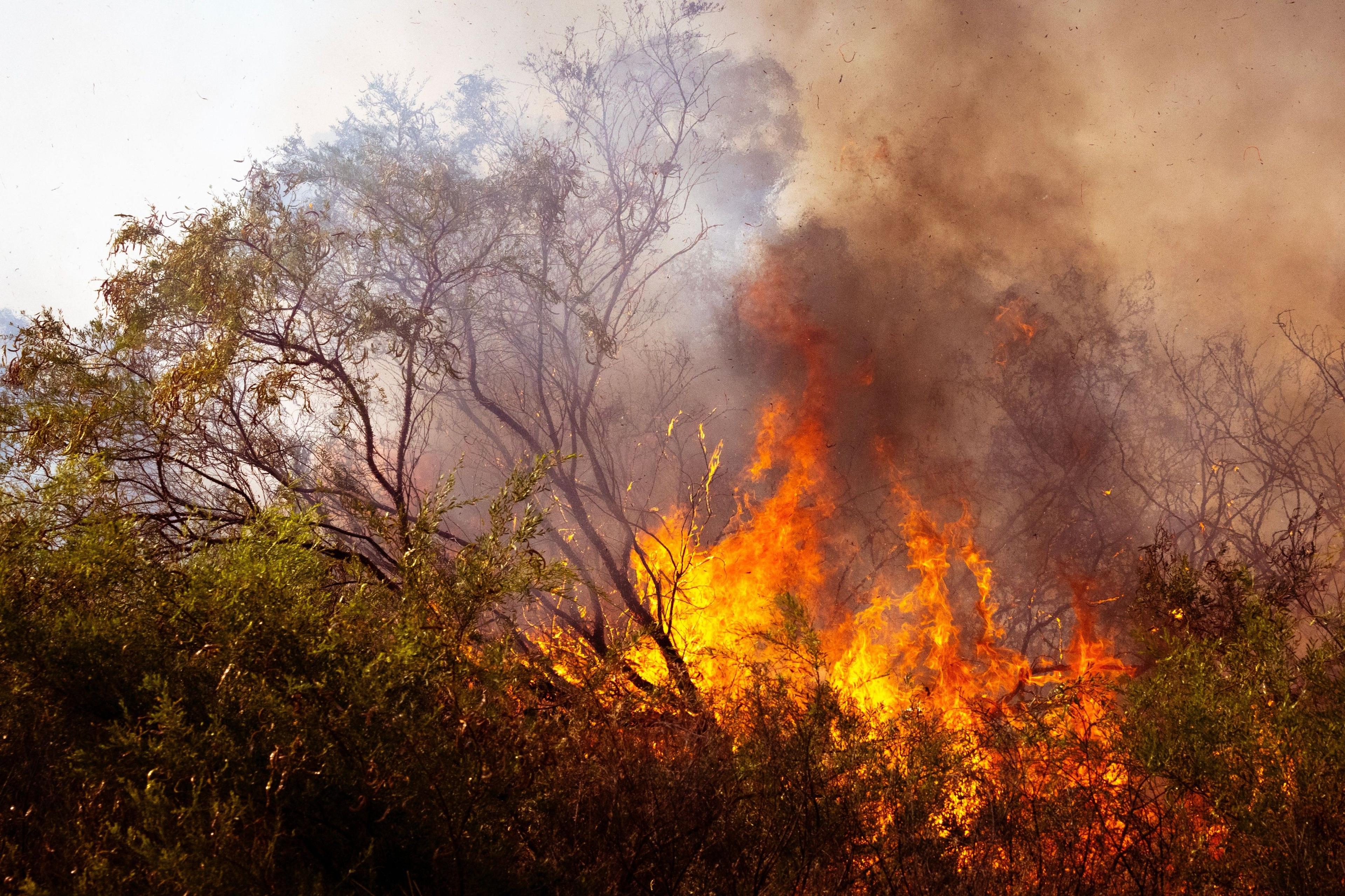 Incêndios: Mais de 200 operacionais combatem incêndio em Aveiro que obrigou ao corte da A1