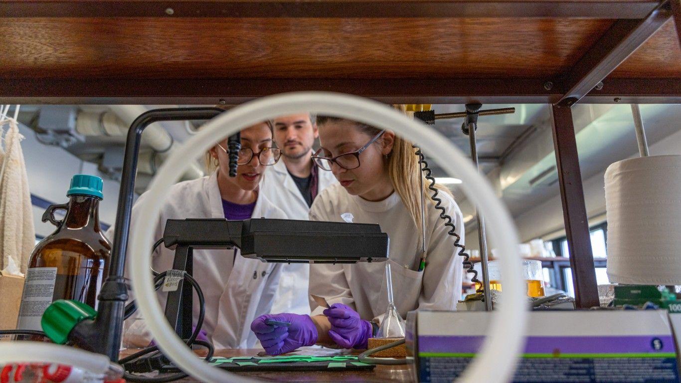 Engenharia Biomédica na UA em destaque no ranking global da ShanghaiRanking's