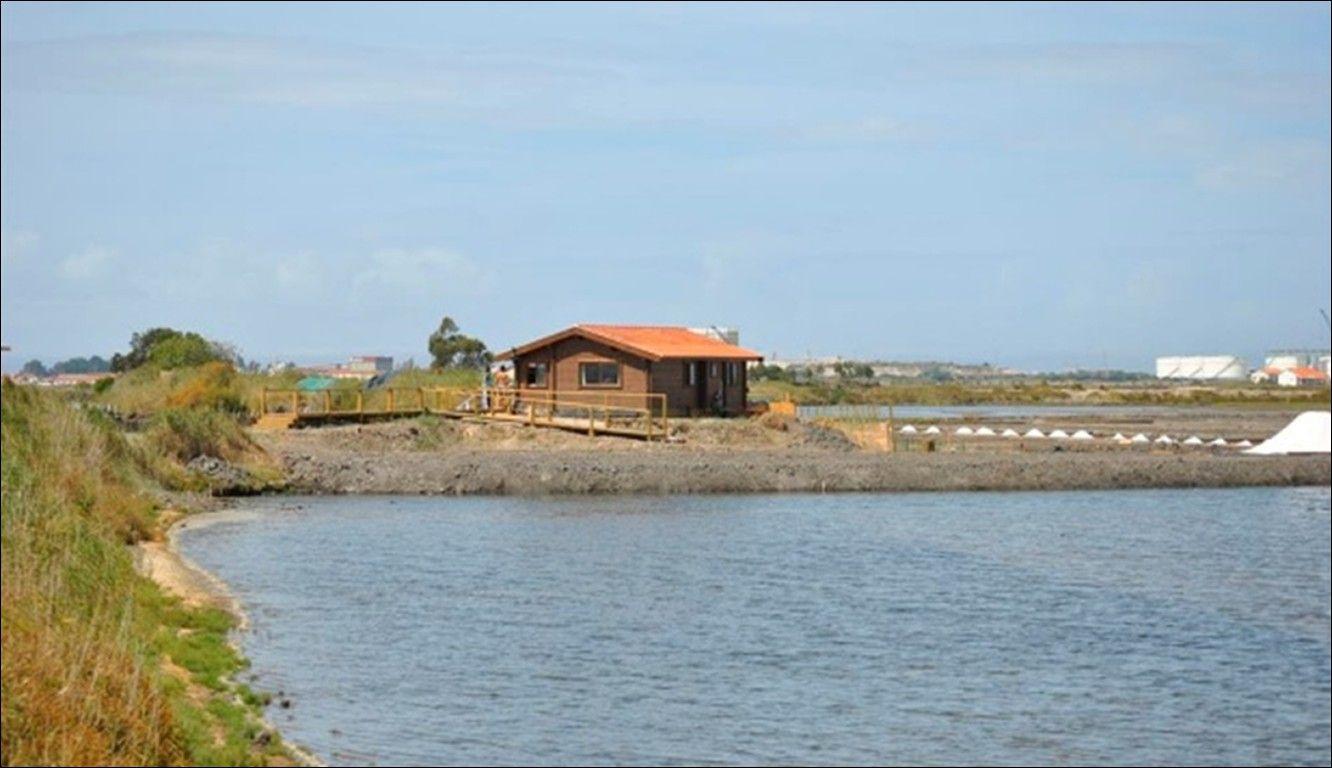 Leilão de 'ilha' privada à venda na ria de Aveiro termina na sexta-feira