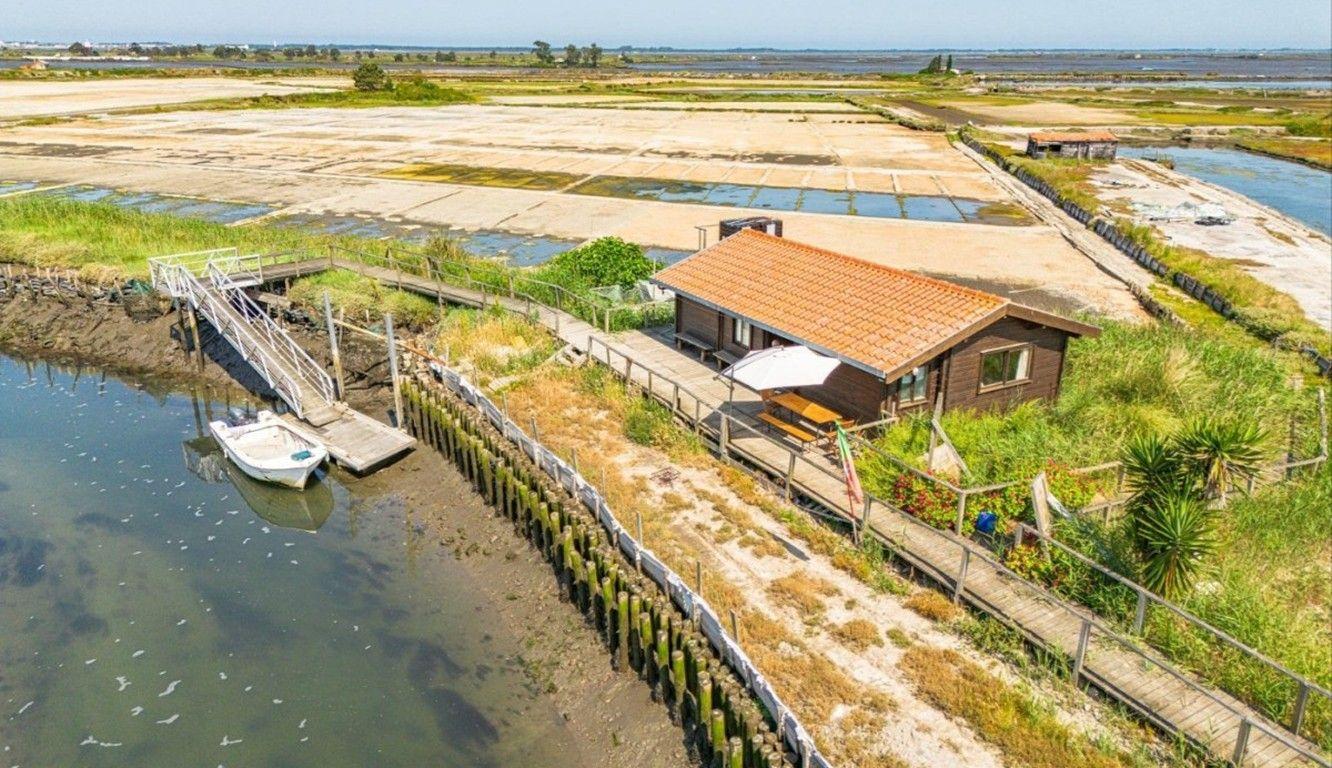 Ilha privada na ria de Aveiro volta a leilão por 690 mil euros