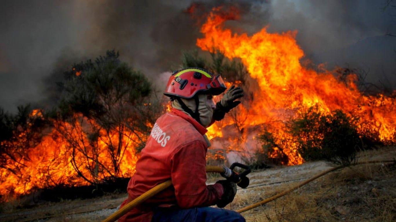 "Incêndios em Portugal: Uma Calamidade de Gestão e Planeamento", opinião de João Lourenço Marques